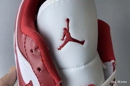 Bright Air GYM 231 553558-611 Low RED GYM Jordan RED-WHITE 1 0811